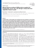 Cover page: Wheat (Triticum aestivum) NAM proteins regulate the translocation of iron, zinc, and nitrogen compounds from vegetative tissues to grain