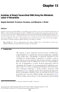 Cover page: Isolation of Newly Transcribed RNA Using the Metabolic Label 4-Thiouridine