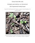 Cover page of Ventura Marsh Milk-vetch (<em>Astragalus pycnostachyus</em> var. <em>lanosissimus</em>) 2023 Experimental Seeding Report