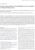Cover page: Synaptic Abnormalities in the Infralimbic Cortex of a Model of Congenital Depression