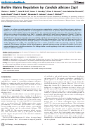 Cover page: Biofilm Matrix Regulation by Candida albicans Zap1