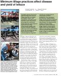 Cover page: Minimum tillage practices affect disease and yield of lettuce