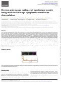 Cover page of Electron microscopy evidence of gadolinium toxicity being mediated through cytoplasmic membrane dysregulation