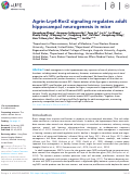 Cover page: Agrin-Lrp4-Ror2 signaling regulates adult hippocampal neurogenesis in mice