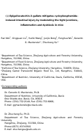 Cover page: (−)-Epigallocatechin-3-gallate mitigates cyclophosphamide-induced intestinal injury by modulating the tight junctions, inflammation and dysbiosis in mice