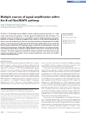 Cover page: Multiple sources of signal amplification within the B-cell Ras/MAPK pathway