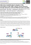 Cover page: Adenovirus small E1A directs activation of Alu transcription at YAP/TEAD- and AP-1-bound enhancers through interactions with the EP400 chromatin remodeler.