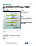Cover page: The Tumor Suppressor Smad4/DPC4 Is Regulated by Phosphorylations that Integrate FGF, Wnt, and TGF-β Signaling