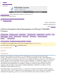 Cover page: GATA4 Is Essential for Bone Mineralization via ERα and TGFβ/BMP Pathways