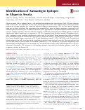 Cover page: Identification of Autoantigen Epitopes in&nbsp;Alopecia Areata.