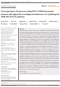 Cover page: Overexpression of long non‐coding RNA NORAD promotes invasion and migration in malignant melanoma via regulating the MIR‐205‐EGLN2 pathway