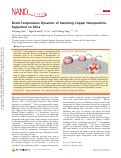 Cover page: Room-Temperature Dynamics of Vanishing Copper Nanoparticles Supported on Silica