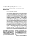 Cover page: Regulation of reactivated contraction in teleost retinal cone models by calcium and cyclic adenosine monophosphate.