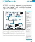 Cover page: Protocol to quantify the activation dynamics of tumor-associated T&nbsp;cells in mice by functional intravital microscopy.