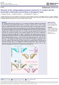 Cover page: Structure of the voltage-gated potassium channel KV1.3: Insights into the inactivated conformation and binding to therapeutic leads.