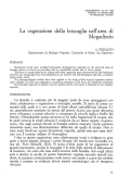 Cover page: La vegetazione della boscaglia nell’area di Mogadiscio