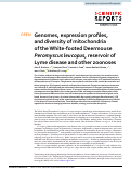 Cover page: Genomes, expression profiles, and diversity of mitochondria of the White-footed Deermouse Peromyscus leucopus, reservoir of Lyme disease and other zoonoses