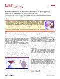 Cover page: Hamiltonian Optics of Hyperbolic Polaritons in Nanogranules
