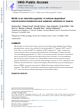 Cover page: MCUb is an inducible regulator of calcium-dependent mitochondrial metabolism and substrate utilization in muscle.