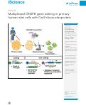 Cover page: Multiplexed CRISPR gene editing in primary human islet cells with Cas9 ribonucleoprotein.