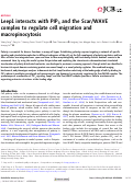 Cover page: Leep1 interacts with PIP3 and the Scar/WAVE complex to regulate cell migration and macropinocytosis