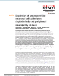 Cover page: Depletion of senescent-like neuronal cells alleviates cisplatin-induced peripheral neuropathy in mice