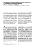 Cover page: Expression and function of cell surface extracellular matrix receptors in mouse blastocyst attachment and outgrowth.