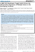 Cover page: A BMP-FGF Morphogen Toggle Switch Drives the Ultrasensitive Expression of Multiple Genes in the Developing Forebrain
