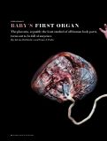 Cover page: Baby's First Organ.