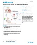 Cover page: A brainstem circuit for nausea suppression