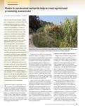 Cover page: Plants in constructed wetlands help to treat agricultural processing wastewater