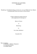 Cover page: Morphology of the Immature Stages of Culicoides sonorensis Wirth and Jones (Diptera: Ceratopogonidae) With Observations on Their Biology