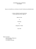 Cover page: Meso-Level and Micro-Level Factors in Jewish Verification and Identification