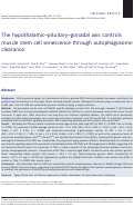 Cover page: The hypothalamic–pituitary–gonadal axis controls muscle stem cell senescence through autophagosome clearance