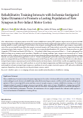 Cover page: Rehabilitative Training Interacts with Ischemia-Instigated Spine Dynamics to Promote a Lasting Population of New Synapses in Peri-Infarct Motor Cortex