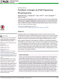 Cover page: Feedback, Lineages and Self-Organizing Morphogenesis