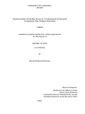 Cover page: Raphael and His Workshop Practices: A Technical and Art Historical Examination of the Tradition of Facsimile