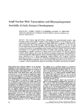 Cover page: Small nuclear RNA transcription and ribonucleoprotein assembly in early Xenopus development.