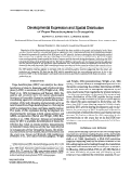 Cover page: Developmental expression and spatial distribution of dopa decarboxylase in Drosophila