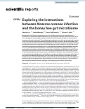 Cover page: Exploring the interactions between Nosema ceranae infection and the honey bee gut microbiome.