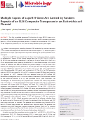 Cover page: Multiple Copies of a qnrB19 Gene Are Carried by Tandem Repeats of an IS26 Composite Transposon in an Escherichia coli Plasmid