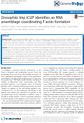 Cover page: Drosophila Imp iCLIP identifies an RNA assemblage coordinating F-actin formation.