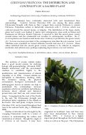 Cover page: Cordyline fruticosa: the distribution and continuity of a sacred plant