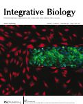 Cover page: A co-culture device with a tunable stiffness to understand combinatorial cell-cell and cell-matrix interactions.