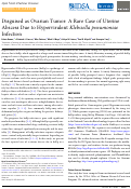 Cover page: Disguised as Ovarian Tumor: A Rare Case of Uterine Abscess Due to Hypervirulent <i>Klebsiella pneumoniae</i> Infection.