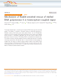 Cover page: Mechanism of Rad26-assisted rescue of stalled RNA polymerase II in transcription-coupled repair.