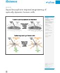 Cover page: Squid leucophore-inspired engineering of optically dynamic human cells.