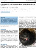Cover page: Bullous aplasia cutis congenita: A rare presentation of a rare disease