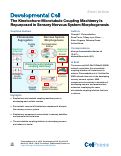 Cover page: The Kinetochore-Microtubule Coupling Machinery Is Repurposed in Sensory Nervous System Morphogenesis