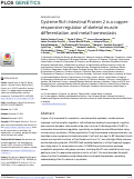 Cover page: Cysteine Rich Intestinal Protein 2 is a copper-responsive regulator of skeletal muscle differentiation and metal homeostasis